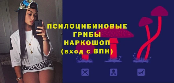 дмт Магас