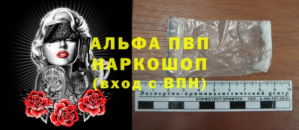 дмт Магас